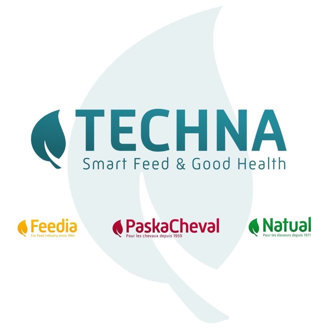 Techna